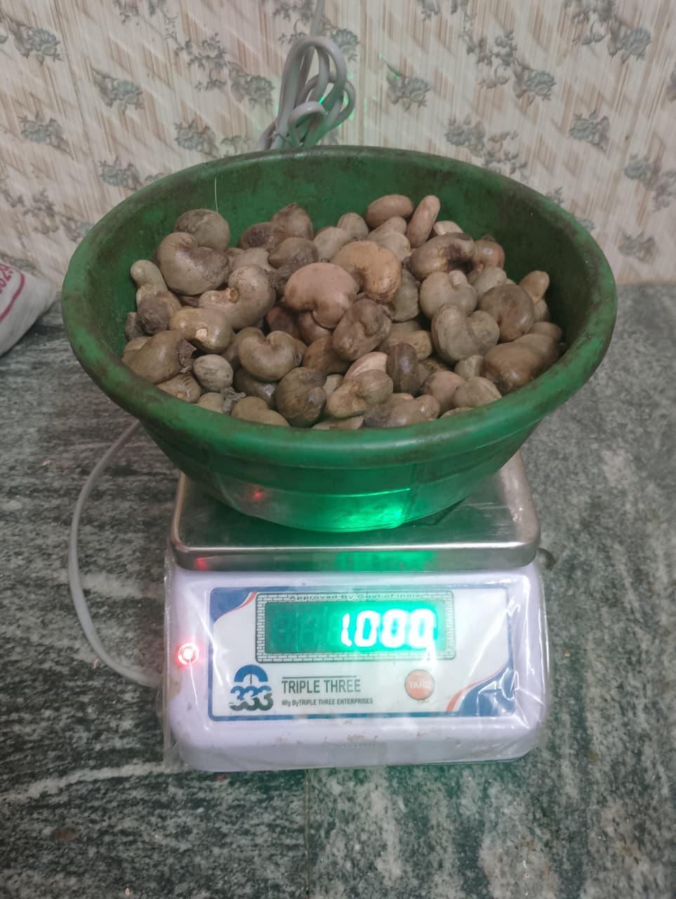 RAW CASHEW NUTS AVAILABLE WHOLESALE AT RAJASTHAN JAISALMER BIKANER-PRADI